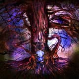 「おばちゃんの木」のサムネイル画像